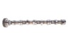 Распредвал VW Caddy III/IV/ T5/T6/ Crafter 30-50 2.0 TDI 10- (сторона впуска) Adler 03L109021E (фото 6)