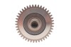 Распредвал VW Caddy III/IV/ T5/T6/ Crafter 30-50 2.0 TDI 10- (сторона выпуска) Adler 03L109022D (фото 5)