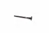 Клапан випускний FORD/MAZDA 1.4/1.6 16V ASDA/FYJA/HWDA/HWDB/SIDA 24.1X6X101.45(вир-во) AE V95014 (фото 3)