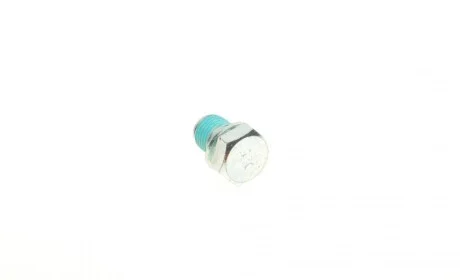 Болт слива масла VW Caddy III/T4/T5/T6/Crafter (M14 x 1.5) AIC 51791