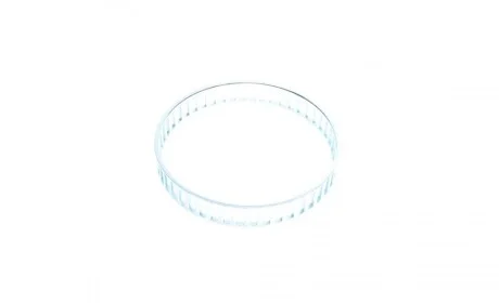 Кільце ABS (переднє) Ford Galaxy/VW Sharan 97-10 AIC 54206