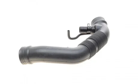 Патрубок фільтра повітряного VW Caddy III 1.6 04-15 AIC 58246