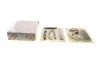 Комплект цепи ГРМ Audi A4/A5/A6/A7/A8/Q5/Q7 2.7/3.0 TDI 07-18 AIC 70019Set (фото 1)
