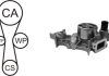 Водяний насос + комплект зубчастого ременя AIRTEX WPK-181801 (фото 1)