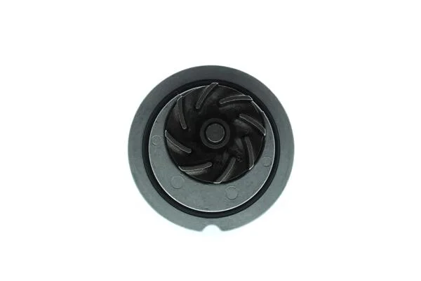 Водяний насос AISIN WPO-011 (фото 1)