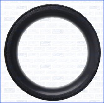 SEAT Ущільнювальне кільце впуск. шланг корпуса повітр. фільтра TOLEDO IV (KG3) 1.6 15-19, VW POLO VIVO Хетчбек (6S1, 6S3) 1.4 10-19 AJUSA 01363500