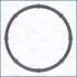 Прокладка термостата Hyundai Elantra (V,VI), Sonata (VI,VII)/ Kia Sportage (III, AJUSA 01513500 (фото 1)