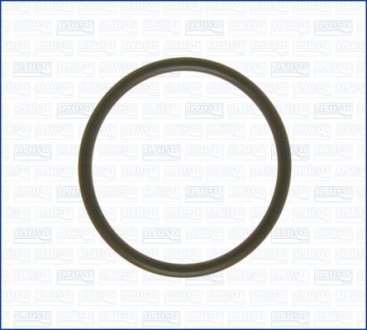 Кольцо уплотнительное термостата AJUSA 16029000 (фото 1)