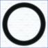OPEL Ущільнююче кільце штуцера подачі води COMBO Tour (X12) 1.6 CDTI 12-, FIAT DOBLO Cargo 1.6 D Multijet 10-23 AJUSA 16086200 (фото 1)