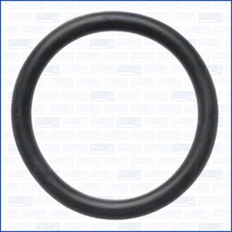 CITROEN Ущільнююче кільце трубопровода подачі охолоджувальної рідини C5 III Break (RW_) 2.0 HDi 08-14, VW PASSAT B5 Variant (3B5) 2.8 V6 97-00 AJUSA 16131100