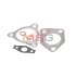 Комплект прокладок турбіни HYUNDAI H-1 TQ 07-21, H-1 A1 04-07, H-1 A1 97-04; KIA Sorento BL 02-09 AJUSA JT10767 (фото 4)