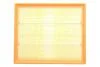 Фільтр повітряний Ford Scorpio/Sierra/Granada 2.0-2.9 85-94 ALPHA FILTER AF1607 (фото 1)