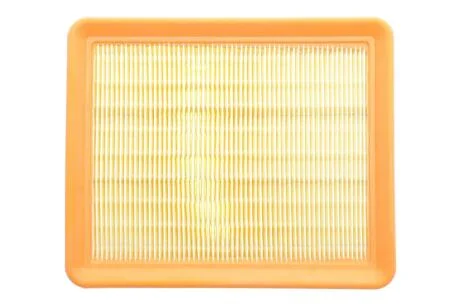 Фільтр повітряний Peugeot Partner 2.0 HDI 03- ALPHA FILTER AF1631