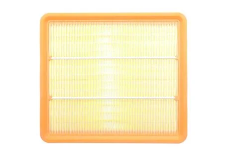 Фільтр повітряний Chevrolet Evanda 2.0i 16V 02-/Epica 2.0/2.0-2.5 24V 05-11/Chery Easter 1.8-2.4 06- ALPHA FILTER AF1675