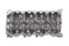 Головка блока цилиндров NISSAN NAVARA 2.5 DTI AMC 908505 (фото 1)
