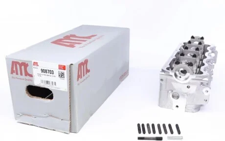 Головка блоку циліндрів VW Caddy 1.9SDI/TDI 96-04 (SSV/AGR/AHF/ALH) AMC 908703