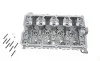 Головка блока цилиндров VW Touran/Passat/Audi A4/A6 2.0 TDI 04-10 AMC 908718 (фото 1)