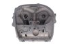 Головка блоку циліндрів AMC 910709 (фото 4)