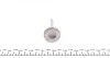 Клапан (впуск) Audi 100/80/A6/Seat Cordoba/Ibiza/Toledo/VW Passat (32x7x95.5) (азотированные) AMP PAUD031-S-0-N (фото 3)