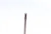 Клапан (випуск) Audi A4/A6/Skoda Superb/VW Passat 2.5TDI 02-05 (24.1x6x100.5) (азотування) AMP PAUD067-A-0-N (фото 4)