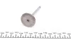 Клапан (впуск) Skoda Fabia/VW Polo/Seat Cordoba/Ibiza 1.2/1.4/1.6 01- (34.5x6x99) (азотирование) AMP PAUD072-S-0-N (фото 2)