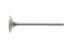 Клапан (впуск) Chevrolet Aveo/Kalos/Matiz/Daewoo Damas/Matiz/Tico 0.8-1.2 AMP PDAE013-S-0-N (фото 1)