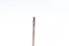 Клапан (впуск) Citroen C2/C3/Peugeot 206/307/Mazda 2 1.4HDi 01- (32.8x5.5x97.5) (азотирование) AMP PFOR173-A-0-N (фото 4)