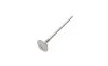 Клапан (выпуск) Mazda 3/323/5/6/626/Premacy 97-13 (25.5x6x114.6) (азотированные) AMP PMAZ050-A-0-N (фото 5)