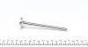 Клапан (выпуск) Opel Astra F/Vectra A 1.6D/1.7D 88-98 (32x8x123.2) (вальцевание) AMP POPE010-A-0-D (фото 3)