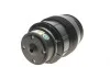 Подушка пневмоподвески (сзади) MB E-class (S211) 03-09 ARNOTT A-2726 (фото 3)