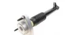 Амортизатор (задний) BMW X5 (E70)/ X6 (E71/E72) 08-14 (L) M57/N52/N55/N57/N62 ARNOTT SK-3607 (фото 3)