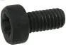 Болт з головкою системи TORX з чорного металу AS SP3022S(BULK) (фото 1)