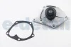 Насос водяной Renault Logan, Sandero, Clio,Megane, Fluence, Kangoo, Scenic 1,5 dCI Asam ASAM 30171 (фото 2)