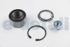 Подшипник ступицы перед Renault Logan (04-), Clio, Megane, Kangoo (97-), Sandero (08-) c ABS (2 стопора) Asam ASAM 30454 (фото 2)
