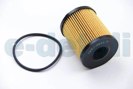 Фильтр масляный Fiat 500,500C (07-),500L (13-),500X (14-),Doblo (223) (04-), Doblo (263) (10-,16-) Asam ASAM 30550