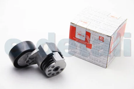Ролик ремня генератора Renault Logan (04-), Megane (03-), Kangoo, Laguna, Sandero (08-), Duster (10-) 1,5 dCI с конд Asam ASAM 30686