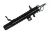Амортизатор передній Ford Fiesta, Fusion/Mazda 2 (01-10) Asam ASAM 34977 (фото 1)