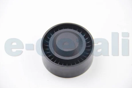 Ролик натяжний ременя генератора Kangoo/Megane/Logan 1.5dCi 05- (+AC) ASAM 55596