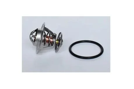 Термостат VW Golf (86-95),Jetta (86-92),Polo (82-94)/Seat Ibiza (93-96) Asam ASAM 73363