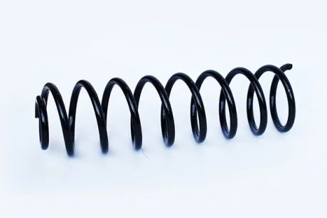 Пружина задняя VW Polo III (94-06)/Seat Ibiza II (93-02) Asam ASAM 73768