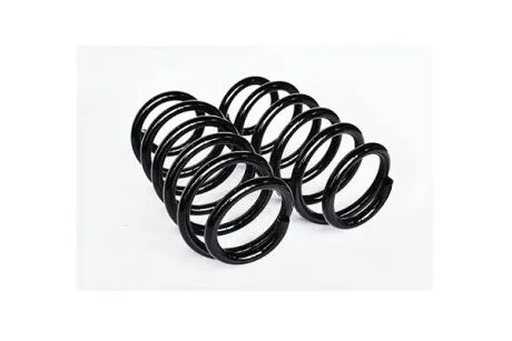 Пружина задняя Renault Dokker, Lodgy (12-) (L=310mm; D=16mm) (компл. 2 шт) Asam ASAM 75074