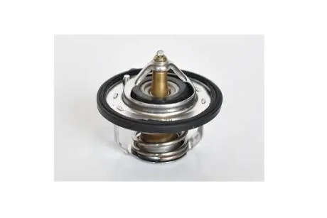 Термостат Renault Lodgy, Dokker, Duster 1.6/Hyundai Accent IV,Elantra 1.4, 1.6 H-1 2.4,Tucson 1.6 GDi, I10,I20 Asam ASAM 75203