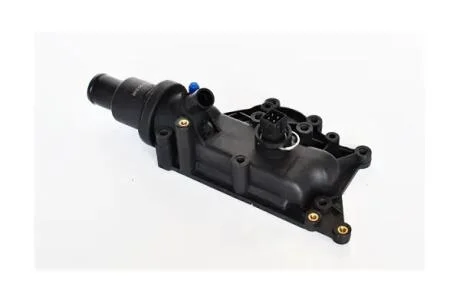 Термостат Renault Megane II,Fluence, Clio, Scenic II,Grand Scenic II, Kangoo 1.6, 1.6 16V (02-) Asam ASAM 77154