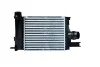 Радиатор интеркулера Renault Logan, Clio, Sandero 0.9i (12-) Asam ASAM 80261 (фото 1)