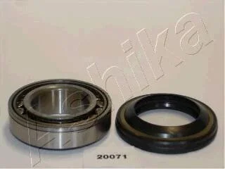 Подшипник роликовый цилиндрический ASHIKA 44-20071