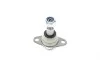 Опора шаровая (передняя) BMW X3 (E83) 2.0i-3.0i 03-11 ASMETAL 10BM2810 (фото 5)