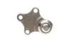 Опора шаровая (передняя/снизу) Citroen Berlingo/Peugeot Partner 96- (d=16mm) ASMETAL 10CT0100 (фото 3)
