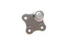 Опора шаровая (передняя) Citroen Nemo/Fiat Fiorino 08- (=10OP1505) ASMETAL 10FI3505 (фото 2)
