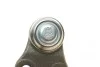 Опора кульова (передня/знизу) Ford Focus II 1.4-2.0TDCi 04-12/C-Max 07-10/Volvo C30/C70/S40 04- ASMETAL 10FR1706