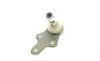 Опора кульова (передня/знизу) Ford Focus II 1.4-2.0TDCi 04-12/C-Max 07-10/Volvo C30/C70/S40 04- ASMETAL 10FR1706 (фото 3)